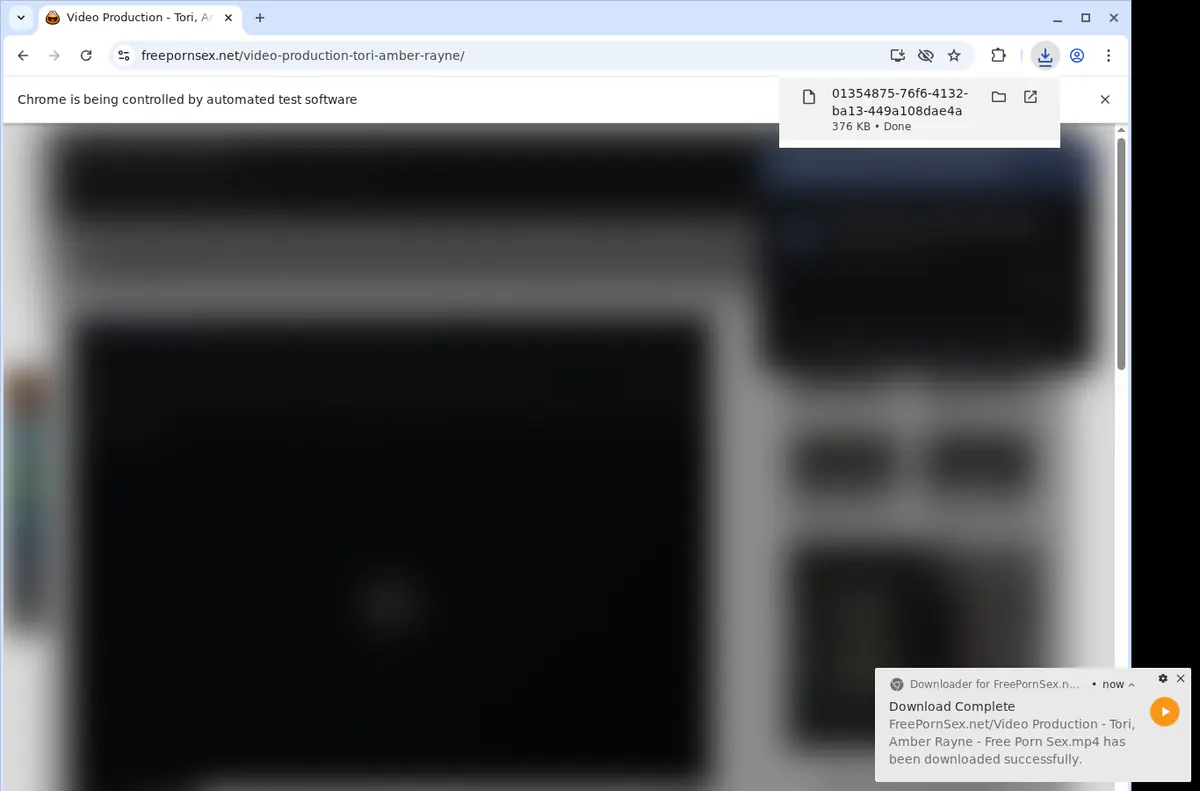 Freepornsexnet Video Downloader browser extension screenshot 2