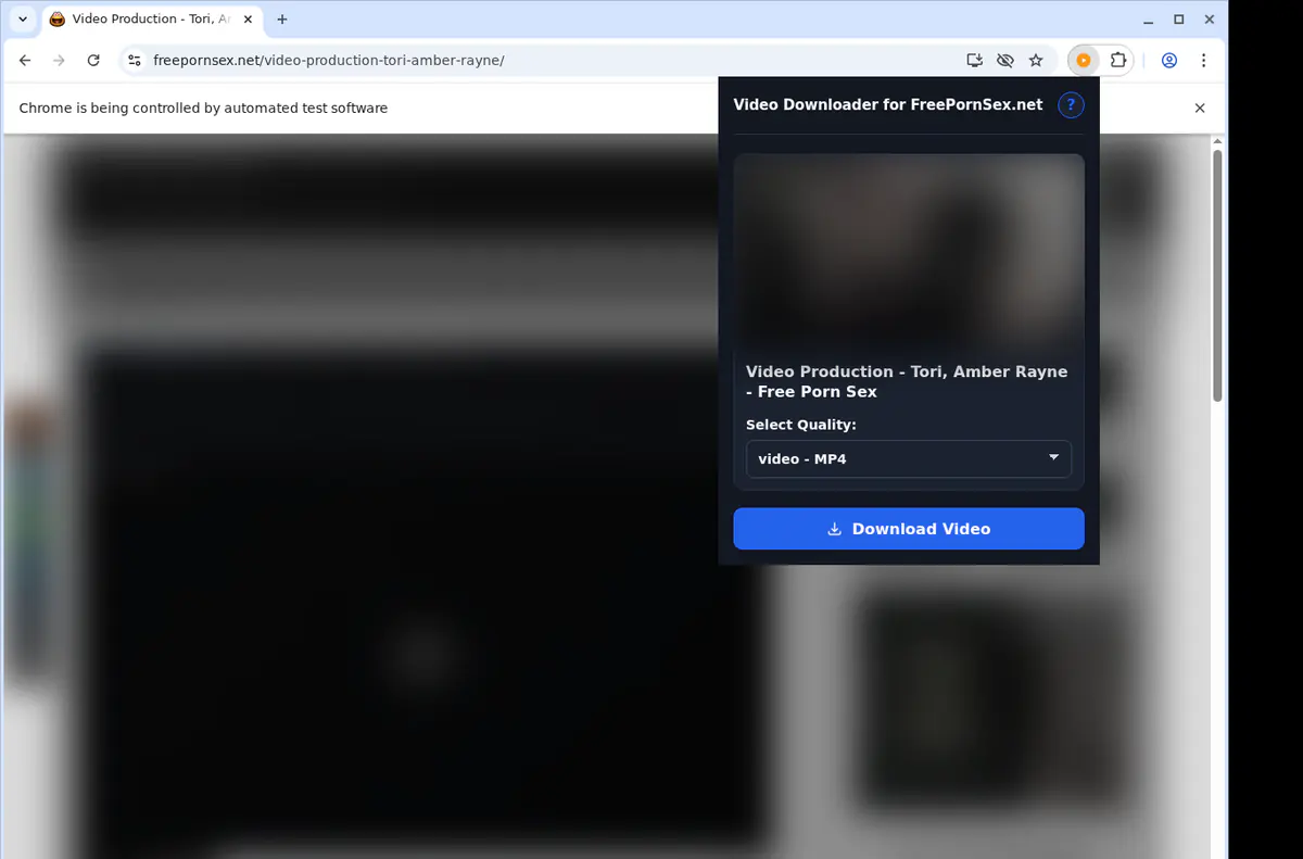 Freepornsexnet Video Downloader browser extension screenshot 3