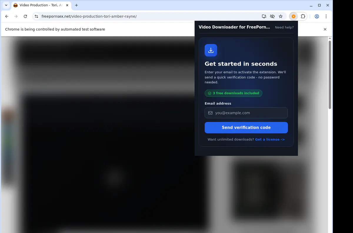 Freepornsexnet Video Downloader browser extension screenshot 5